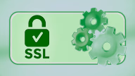 Miniature SSL TLS Certificates